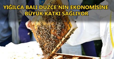Prof. Dr. Gül Açiklamasi Türkiye Petek Bal Üretiminde Dünya Siralamasinda 1. Sirada